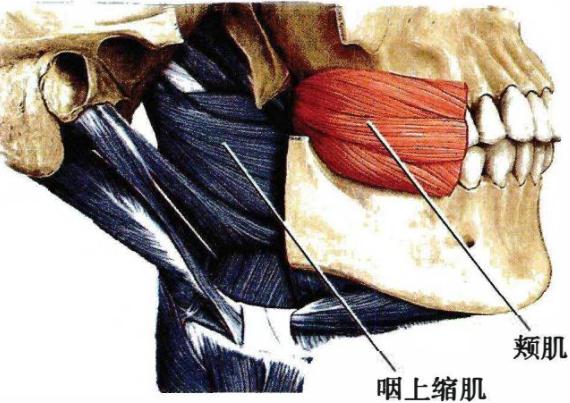 00bd366155ff1402466859215f85ed17b6e8f2b094a777191107d731f656e2e5.jpg