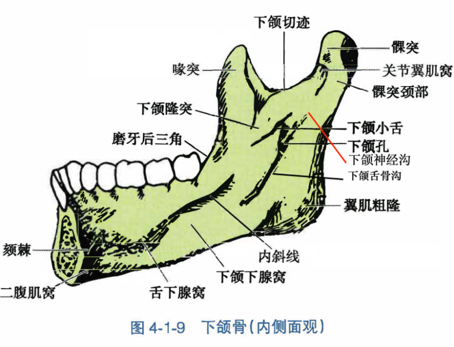 0db84bbdf2290d5c1dfbdd88fd787cf38e5e5f1411f45f84549fec320bc922ba.png