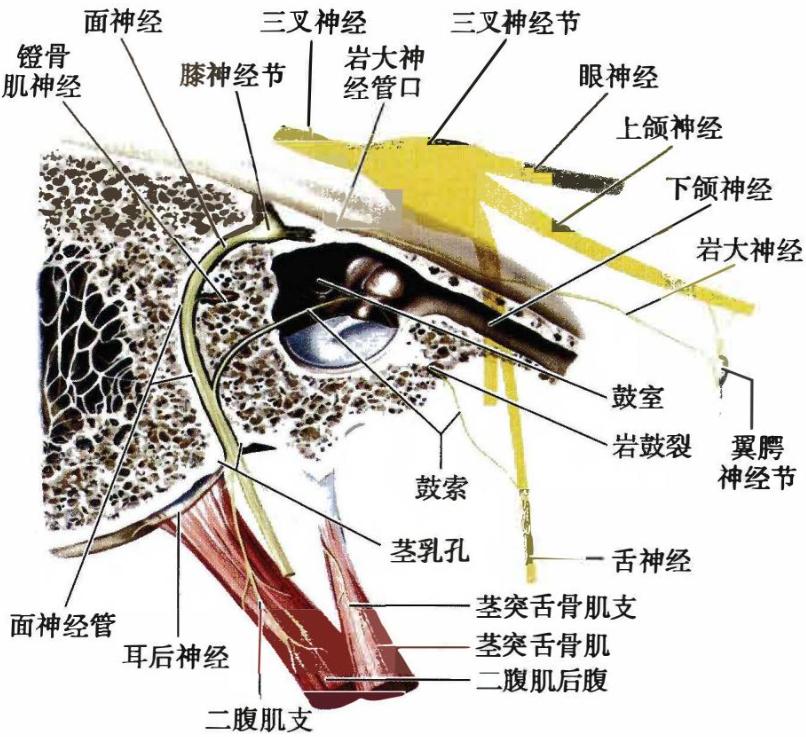 0ea55e8a4d6183afa0f8083e4667d04c4d8a67bcf6c4606e1b24663e1f3358c5.jpg