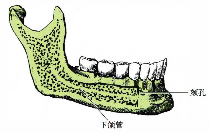 1b5e39bc05680440ba42243fef62e8d9791dc976cb9fc31645b0942d705de9ce.png
