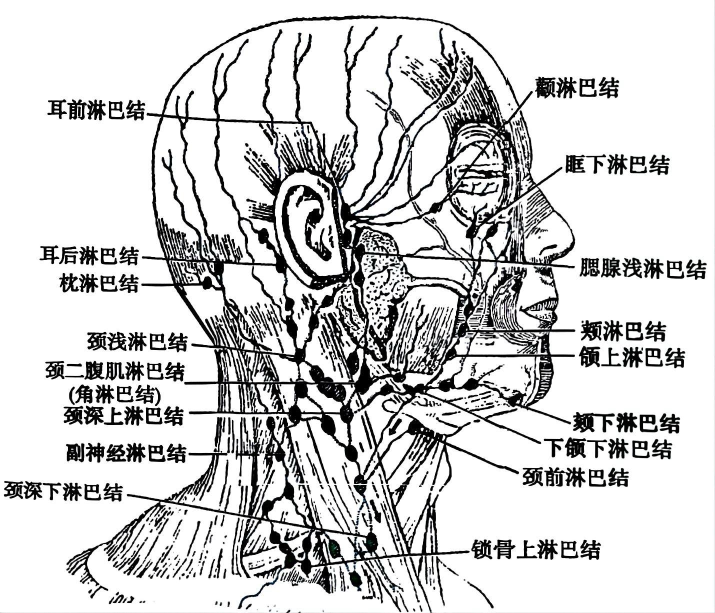 1b2235e5fb72c74c069853a3dd19461e0500518b105845b93ce65595faccf0a6.jpg
