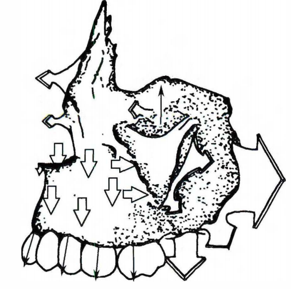 1ddc109d753eaf484a3aa090af4bc11133ded2491ad7c46fa32e9e0cf6f01dbe.png