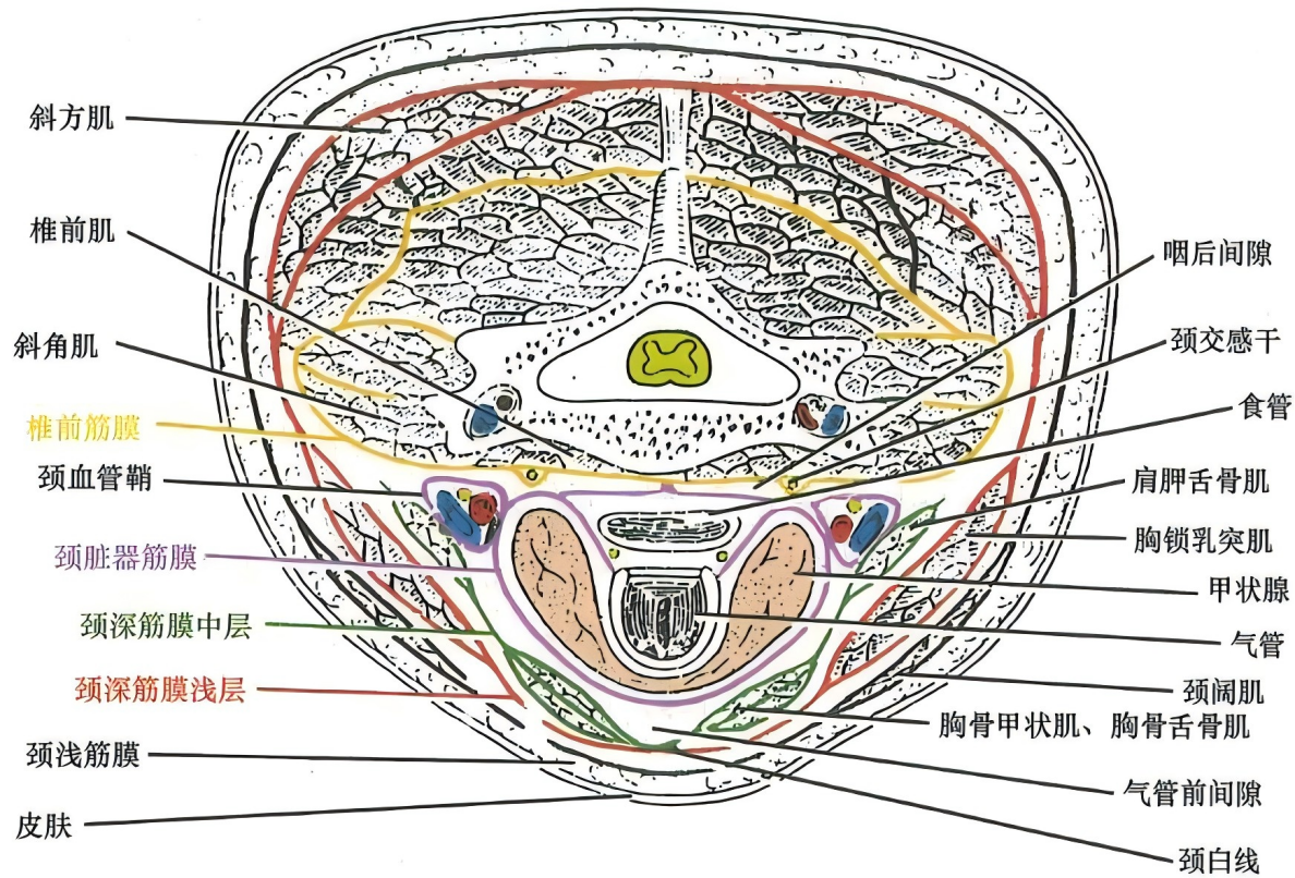 2c9729fb15380c586779d66d6de6bb85bbe153cf6a5c649b64b3b9dfb0b332b7.png