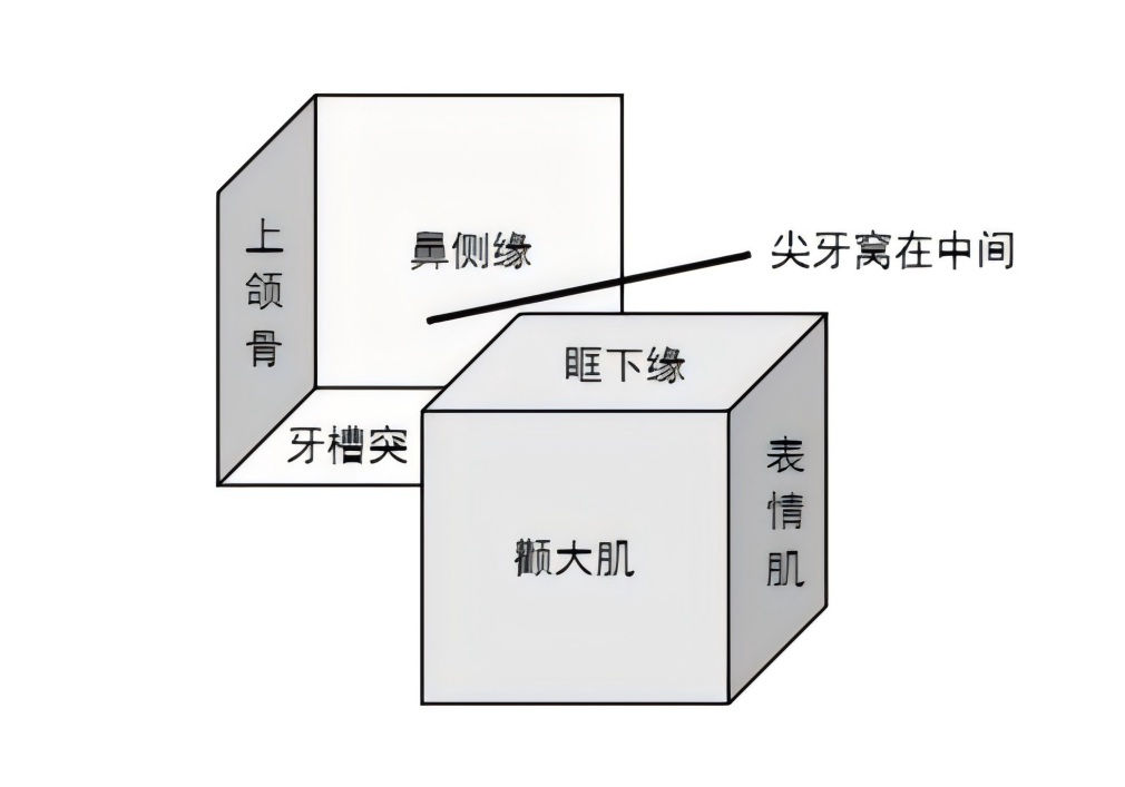 02d2f8bbea5fc79741dbedc6693600845758a68d6c1236c3d2cab3627073fc88.png