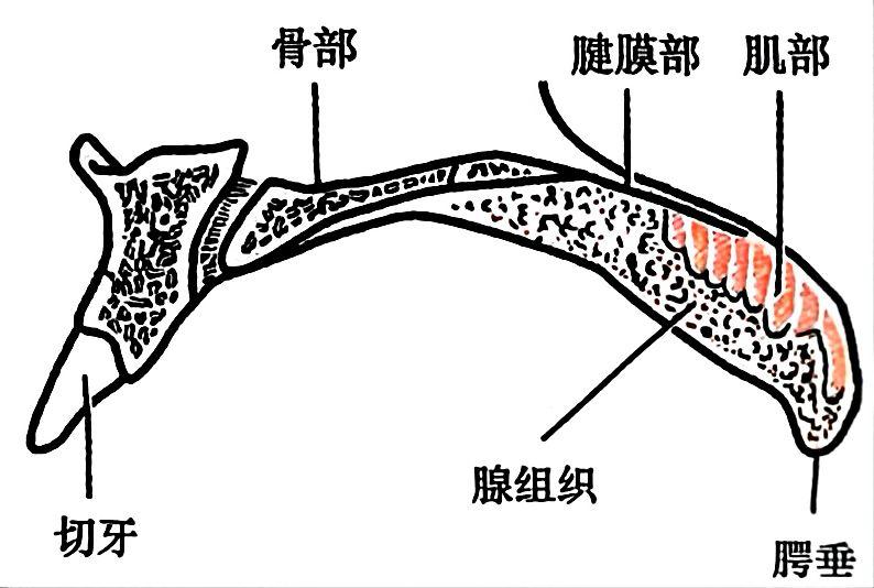02f413795593bb603615a9c22dd51a595cde3b81167dcc213f8f6d2910f2ed43.jpg