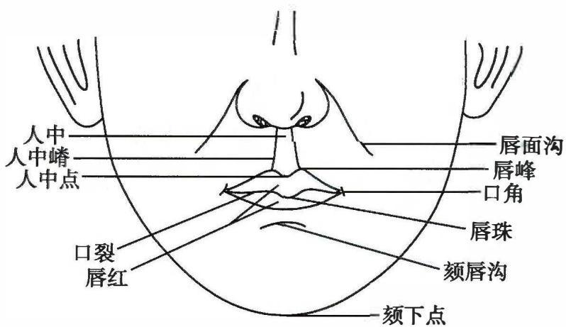 3b43ad51dcc2e385f857bded8595a3f234fd550e1dd03015253cb7904bfba720.jpg