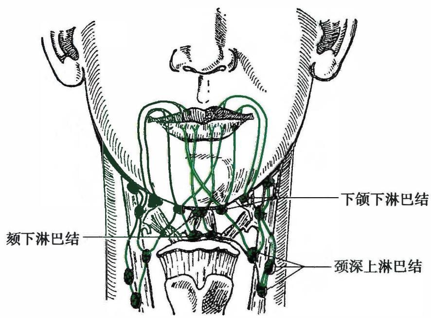 4d321c1fe54ea76b06bd7be37319a700f0f51f0efb75c3952d8600185bbe7444.jpg