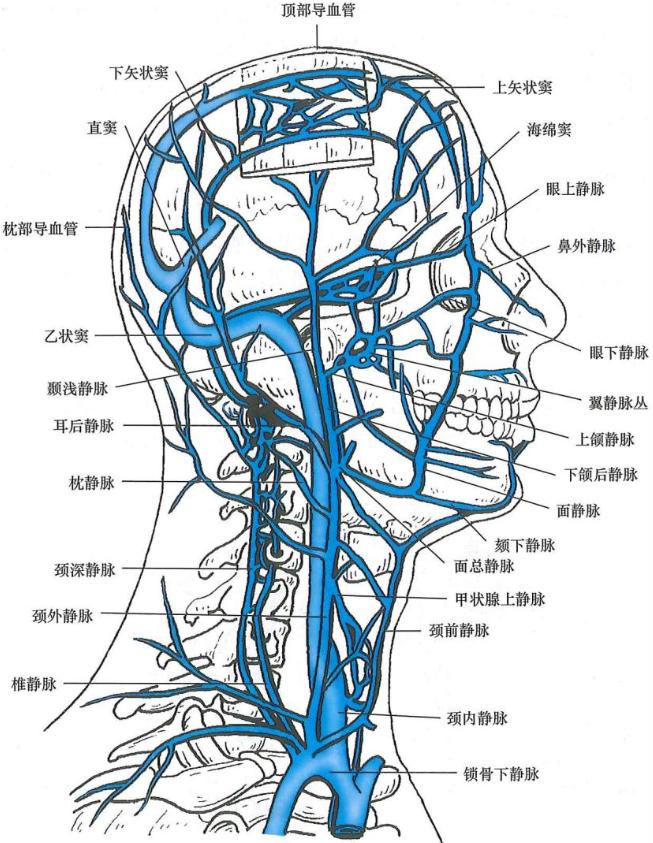 4e27b07b714e55c16fadcd3a9a7a421d2f898f0103fa7589e11d1280411ab4e2.jpg