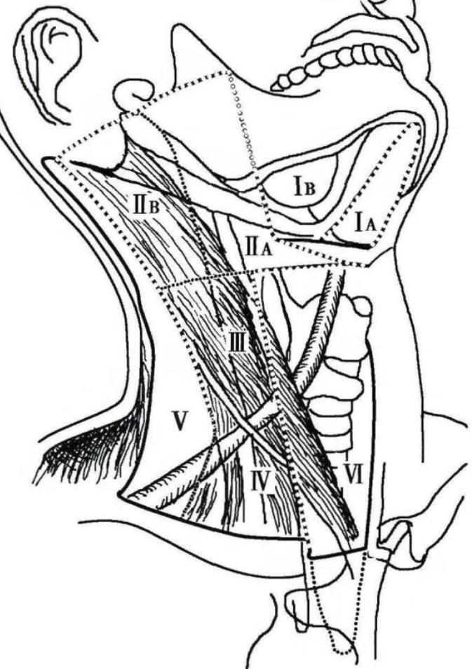 4e758b9ab140fc3e1b46a09b816674834a38306bc7c85064312a90e752140d33.jpg