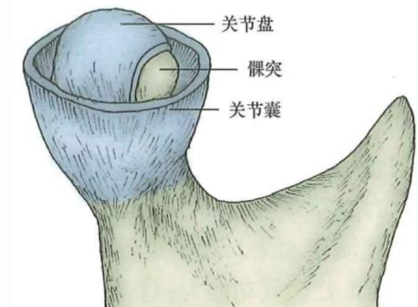 5aa04f60f4600550a9997db06fa4f4accc09f5e9bedb8e41fed92f719e307110.png