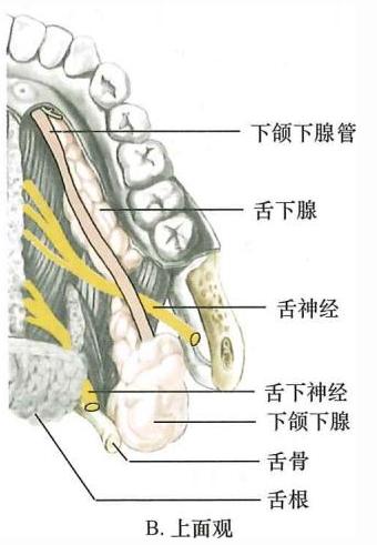 5b0de37a3700d18d2dffd0195305c53270df33b82d35abcb798a6a832122de8e.jpg