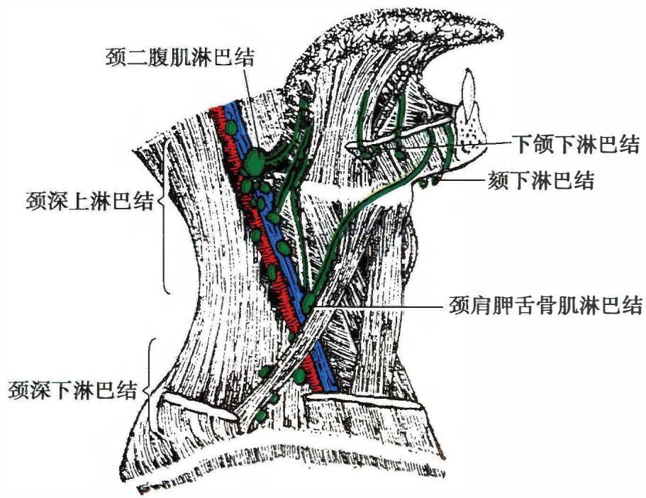 5bfa5493ea7767defc332ab370154abd5ebbbd88909284e2156d1bfbfd79adad.jpg