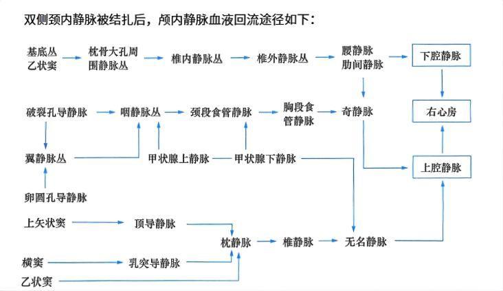 5d04fb1a2d9b5093cbe21decb58a04757ba759d0e428e5b76cfc171a36ac83b3.jpg