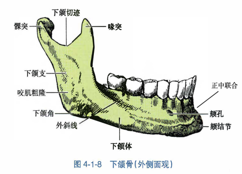 6b34c9355053b337d86c758087467c6ed45162cc428d6408d01413d2c59c3ba3.png