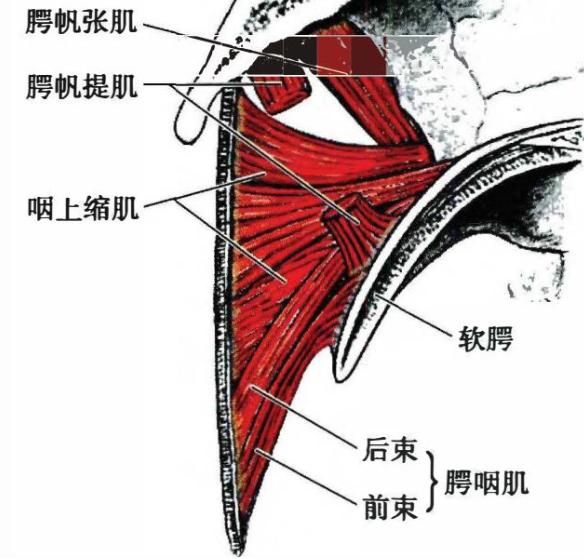7a80eb58fbfa54d624a4bd17fe5cecf58cb2bc3e8a59b6f6822a32b8eb511c5f.jpg