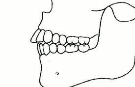 7b056c88089d17727f0884ac95d7cd16c50a666d5290b64ca1a924ccdb6ed4b0.png