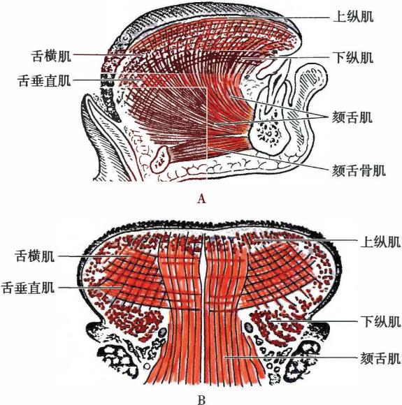 7cd4b85ce5b6eac5ab9a6f3516c437b75ac8d211e0353fb5b21e1ebfe23d93e4.jpg