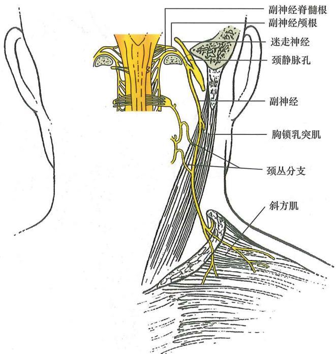 7de0eba57b37406f9c3143b4e3c82bcb915419284f3b0c4fc25b218984ad02a3.jpg