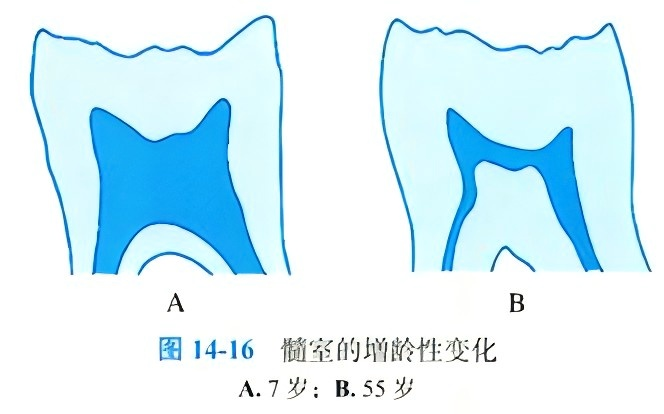 7e1f05458a93827d9a801c7a94edd9e60385f183e003c5c4eef3c1602d5fda4b.png