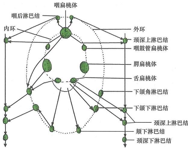7e9cd642fd8dc3348c295cddcd8eebdba3943dc97c5939d271601c7c69ae7220.jpg