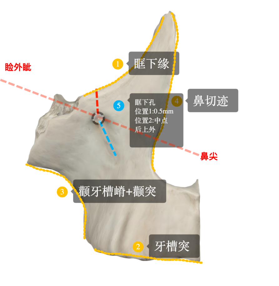 7fb819b39387d36f9983d8c913f0c9ed2293102269187b308bb197a269709e65.png
