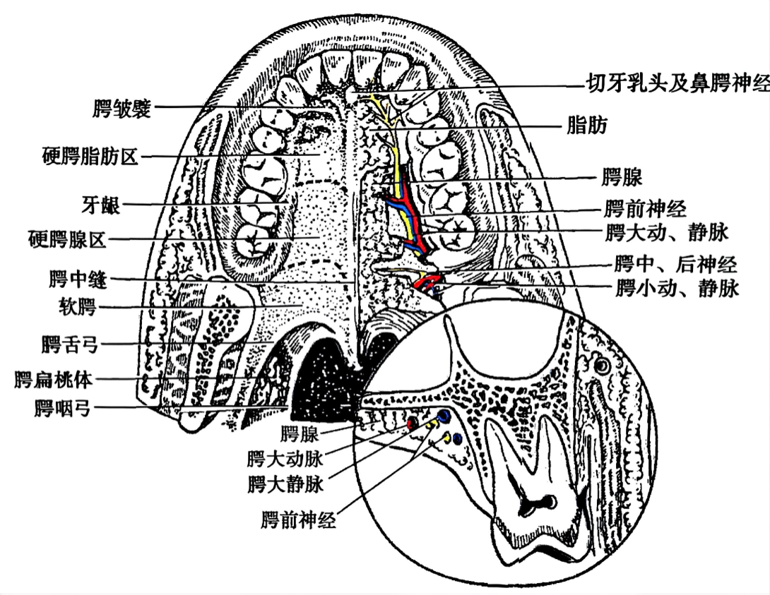 7fc3f5dd5446ebac050d1d028710000f3919d41167b94d6e82bb771c12feecb8.png