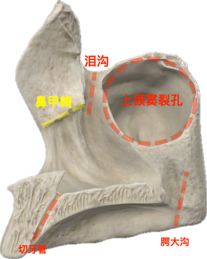 8a8477430a6b407bad0b809bfd4e95c5fd71fa0ebb0ab6404f2bfd2611b35516.png