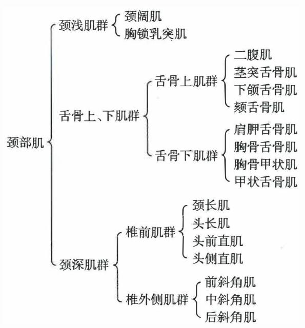 8ae5ca7b45899e23d433ab3975cbea41f58567cc32bbe78859e4032a1ecf7dac.jpg