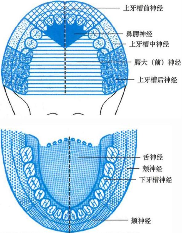 12a236f836843903b79c705a763fd94804ff7a985355d61e59a1d4ffc980b085.jpg