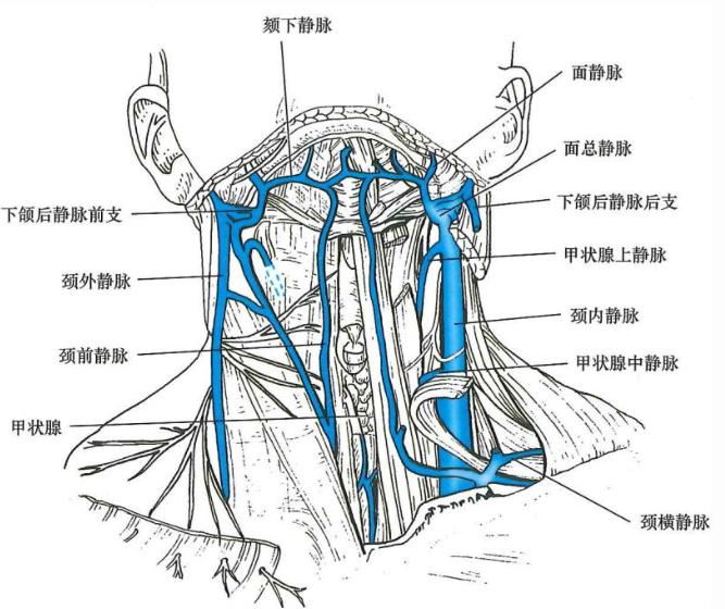 17d4c80610ae2d3e7fed1a3e54a056683a856f9270b53b67478264f0afebdc99.jpg