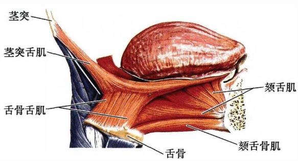 018b7f2c5041753eb6b22d70c416176b946214e7c7edf6ef45de2b07dce4455f.jpg