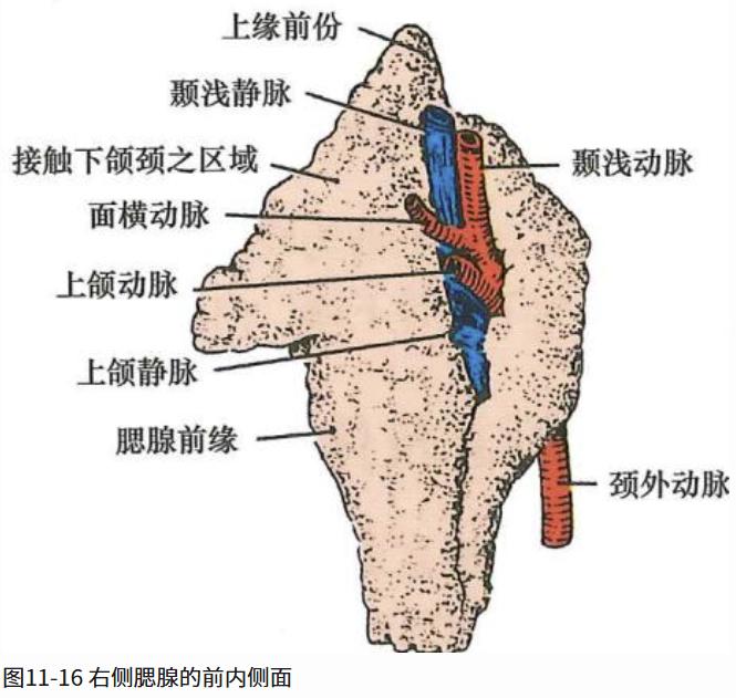 20d16a906ba84b777fbd38d8407ee81f28d00acb47c84e4edf7498d064c125c8.jpg