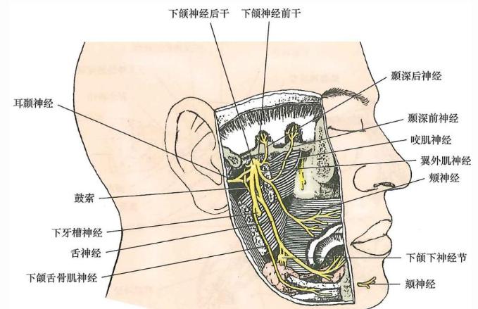 25b468db8bca399318b84cd0eed8ca99fd3a5e6613e31f36feea9fd229c2d7e4.jpg