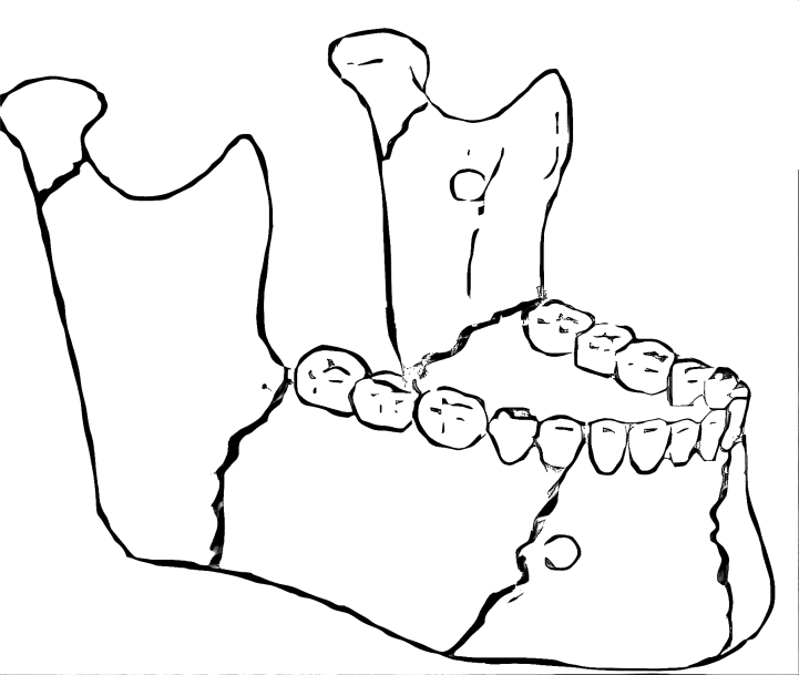 46cbf8cef7d1888b90e1eaf00c373e99acbb4b858a5b27960b45fe50c7b2ab19.png