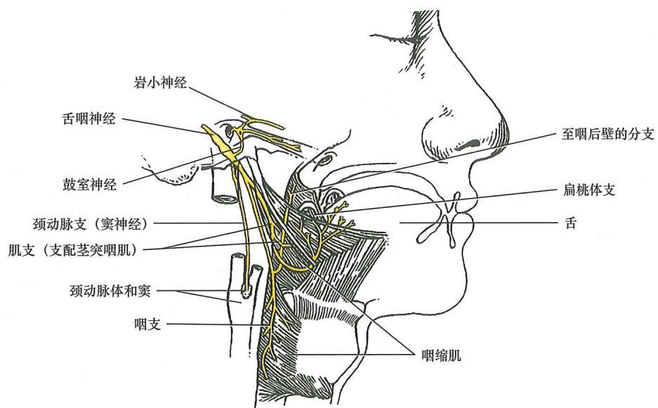 83fb7071f14a5163afba5c1df523c8336cf5f1818940c10c81e6d908bfee4ec0.jpg