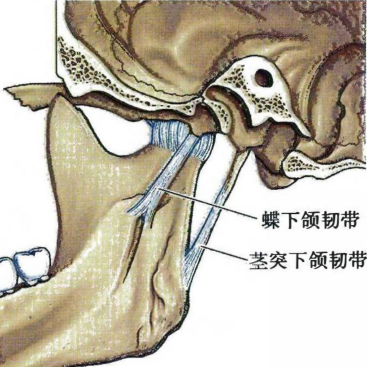 85f2a358133be6a2a7b192d2a187428376d7259a65de54c925bfac233f89be24.png