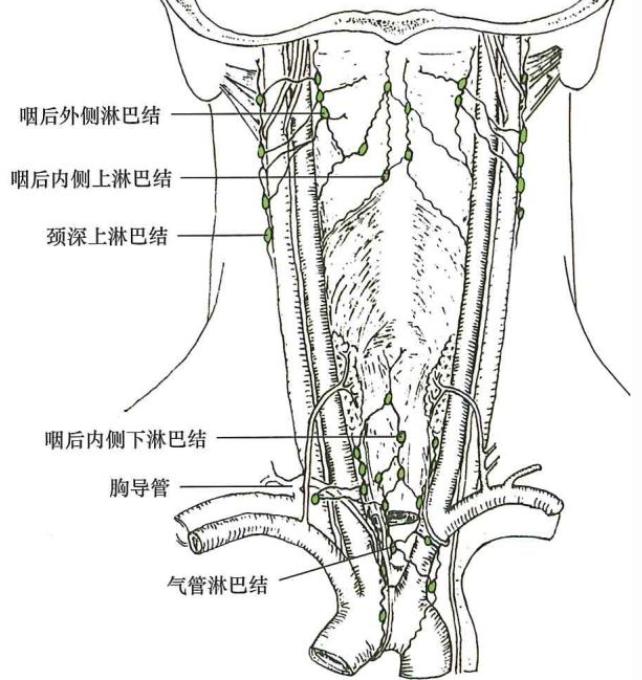 443e82d5c5d11f7eae45511a2c3caf9764b468f3861124f200273ce80b4f2613.jpg