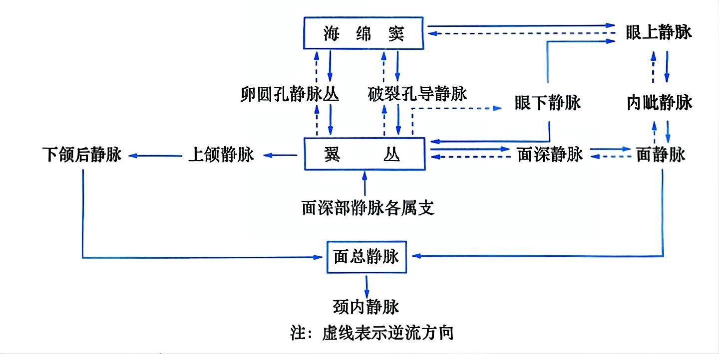 573d40f46eaf3778c2a4cc2a50894a0bb06e3e36722feffdad746b016dcac7df.jpg