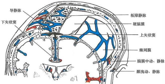 610b4e97f84fbb58732a567f0e6940ceee166414767756dd764dcd28987052f5.jpg