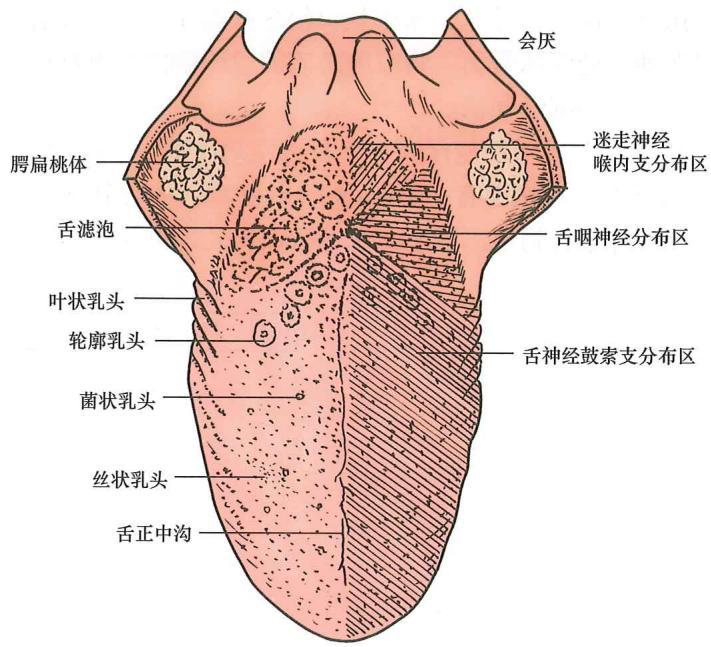 695a233741dc101c4642448e5df2f4d0fac309ddbb29f42160cdbf94a19b8d7a.jpg