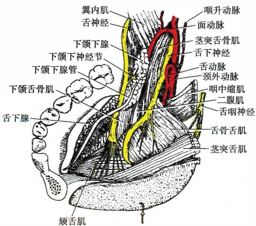 841c640b957bf03ecf7042b781d64a478d5c9fbbbd87f56125ed9677ca68be58.jpg