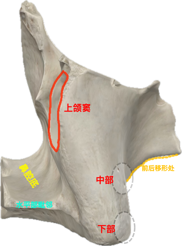 848a01f60f512bfd427840f4c28c32fdba288578819e6fa083cbf646ef556304.png
