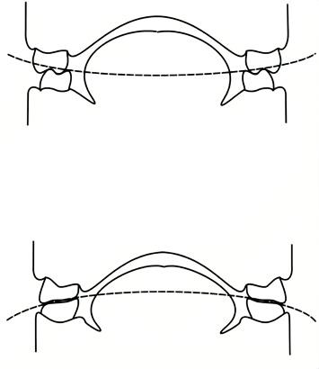 3330d13ef29f9d697635a8c7f6732eb30ee0b09059010f606a11ce539d6ea847.jpg