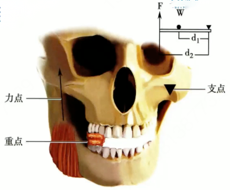 4196ab47e1cd135f6b27d560c84b33d3b7229332d6b820af19ac8af732799a5b.png