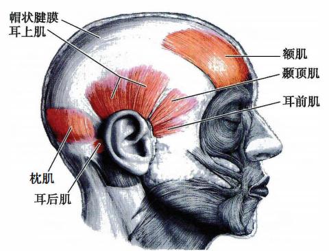 5828b76358201ee39f2e7e1adea87cb6eb22d71fae05bb5a0c203dc4336cb67f.jpg