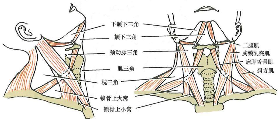 6530e8fea41cf1683e11c54e0b9714391b2c6cc255d685041878d5a76fb44178.jpg