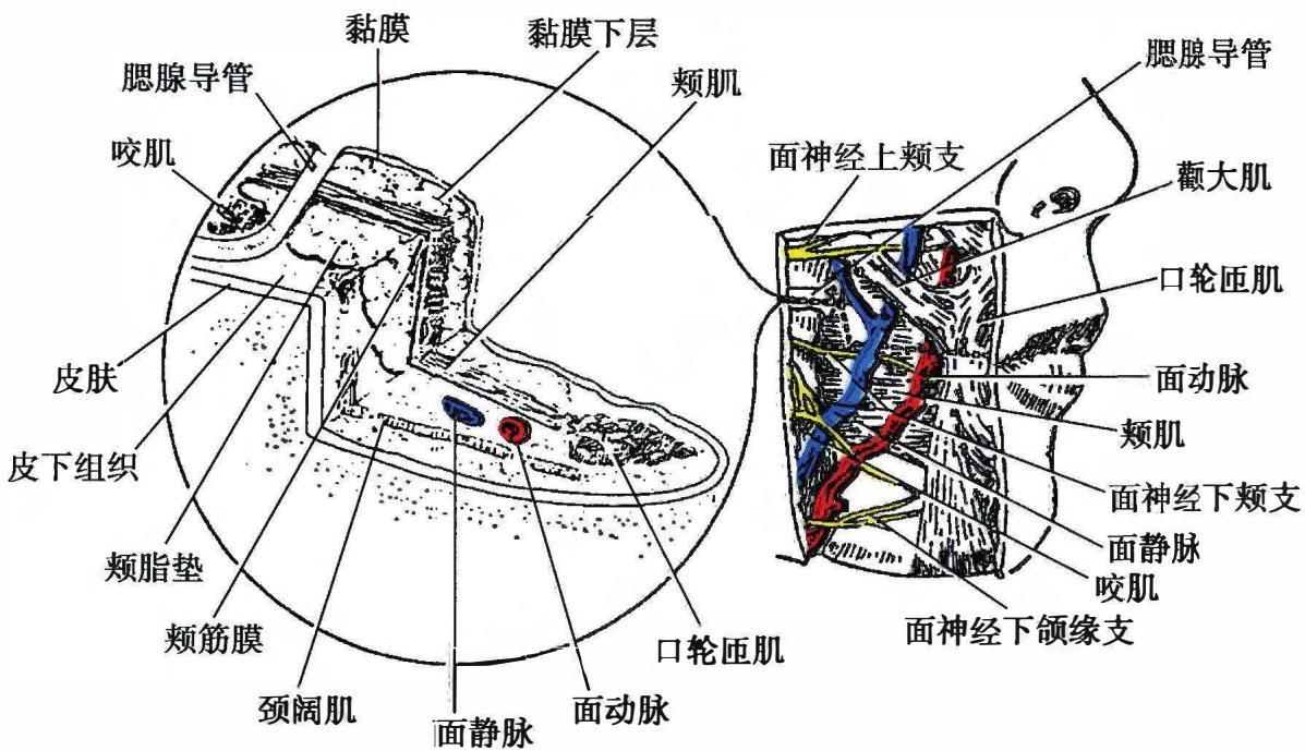 9441b840bd80c81f0cdcc7a0c94de1635de7dbd62f7ab2a1ace4b04711633bcc.jpg