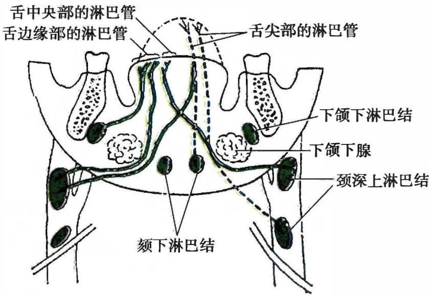029355c110835e701e4ab2a99b99f1d2837be0257ad49790fc8d2dde42d363ab.jpg