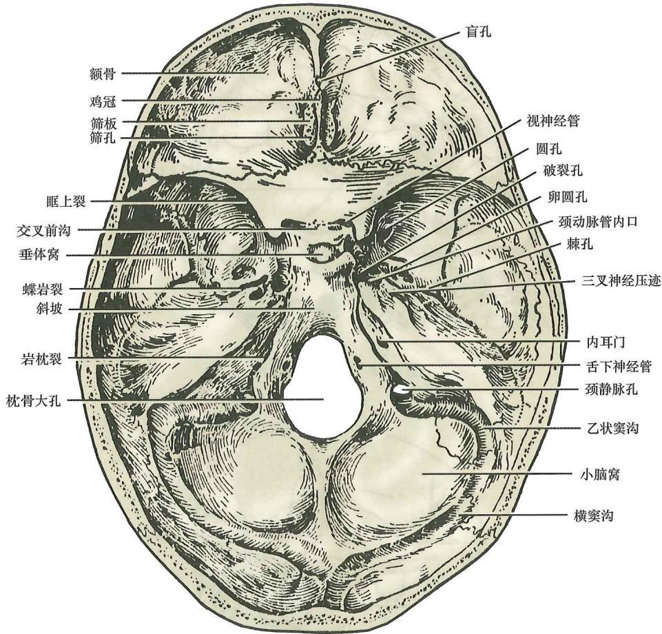 71889ea57ce88e7f08c3660a691ce86a64907402964544258b722f54ec1287a5.jpg