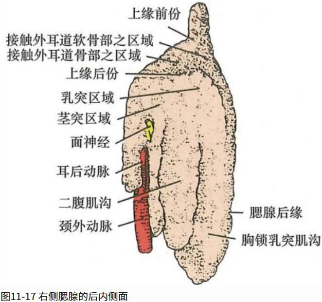 526725de0945a27e77e3b0e97a068099e88f0f4e253e51d585c2747302f0217b.jpg